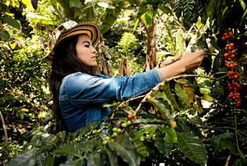 Deyanira Cordoba is one of many coffee-growing women of Tablón de Gómez, in the Nariño region of Colombia.