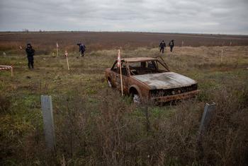 Саперы расчищают ранее оккупированную Россией территорию между Николаевым и Херсоном.