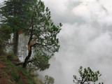 Дарамсала. Здесь живут облака. Фото Шогди Нагиба