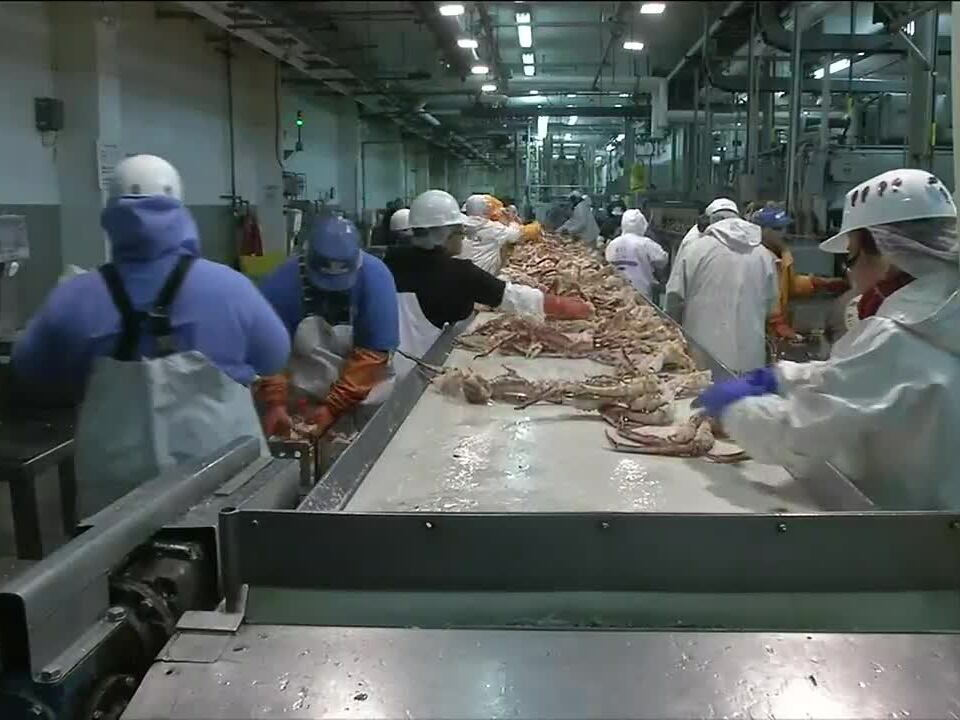 Workers at a crab processing plant in Dutch Harbor