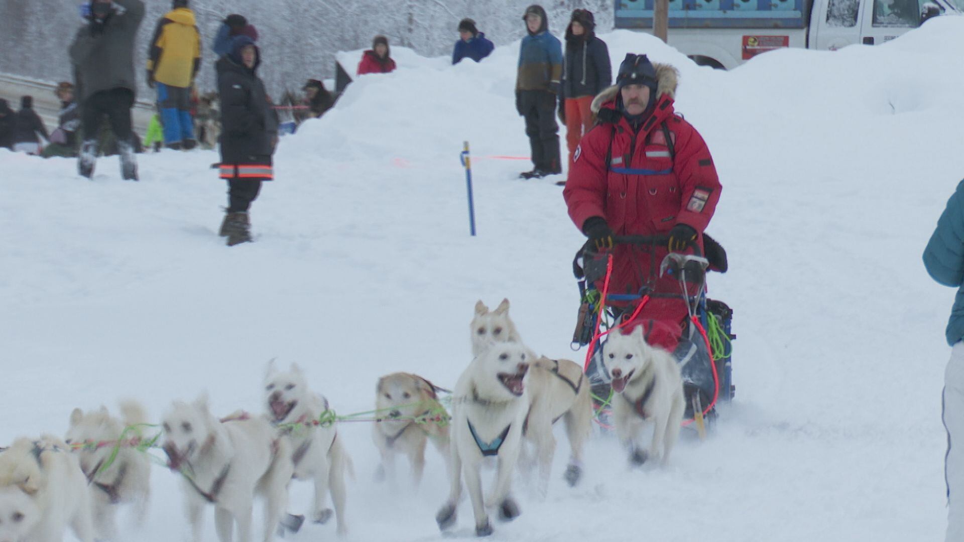 Musher Mike Parker and his sled dogs of Northern Whites Kennel take off from Knik Lake at the...