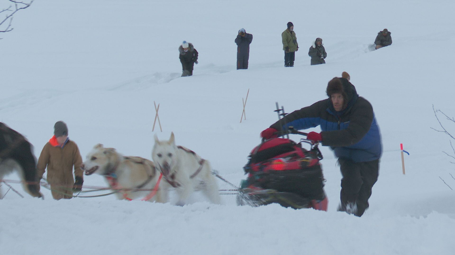 Jessie Holmes was the first Iditarod team into the McGrath checkpoint, resting for more than 3...