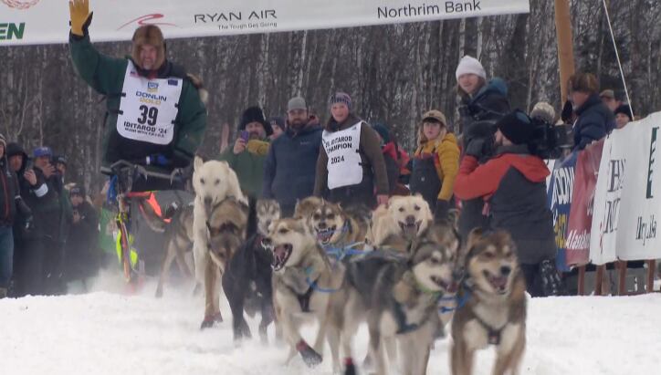 Veteran musher Wally Robinson takes off during the restart of Iditarod 52, March 2024