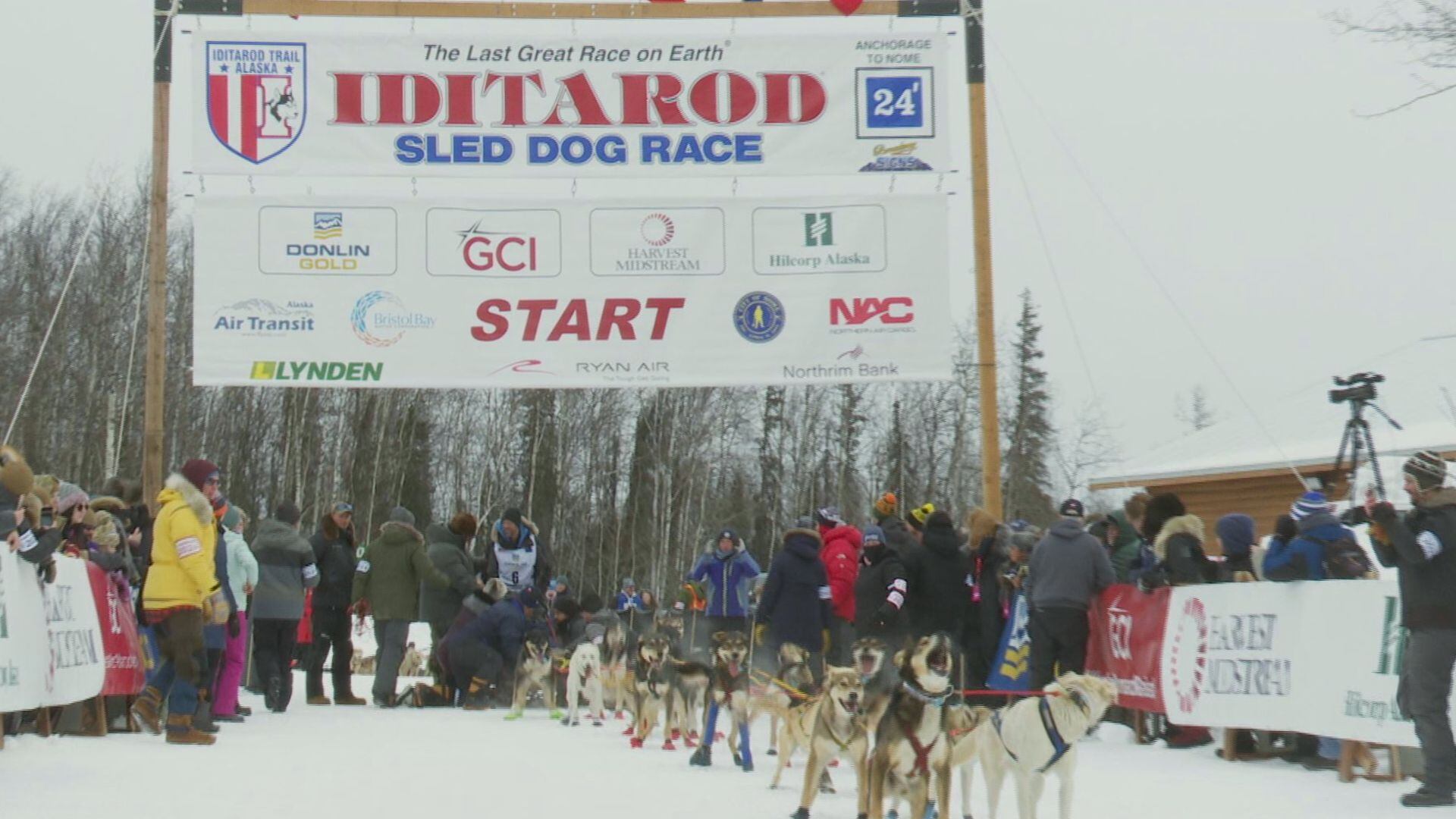 At mile zero in Willow, the Iditarod is anyone's race.