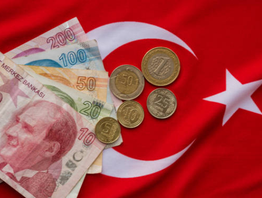 Экономику Турции трясет. Растет инфляция, а с ней и цены