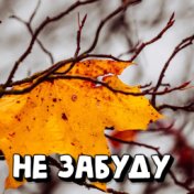 Не забуду