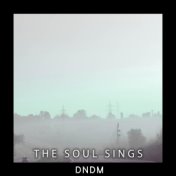 The Soul Sings