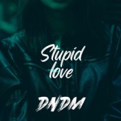 Stupid love