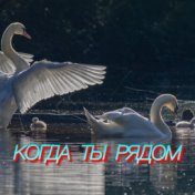 Когда ты рядом