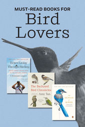 Nonfiction Books We Love