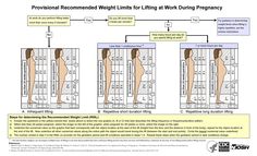 How much weight can a pregnant woman lift at work? The infographic visually depicts provisional recommended weight limits that NIOSH proposes most pregnant workers with uncomplicated pregnancies would be able to lift without increased risk of adverse maternal and fetal health consequences. Physical Therapy, Health And Safety, Occupational Health And Safety, Fetal, Reproductive Health, Health And Wellness, Workplace Safety And Health, Weight, Womens Health