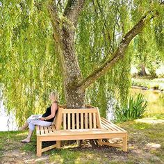 Alexander Rose Roble Tree Seat: Amazon.co.uk: Garden & Outdoors
