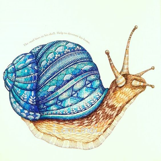 Instagram media _i_am_moi_ - 49/100 Snail. #milliemarotta #keeponcolouring