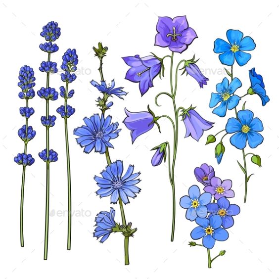 Hand Drawn Blue Flowers