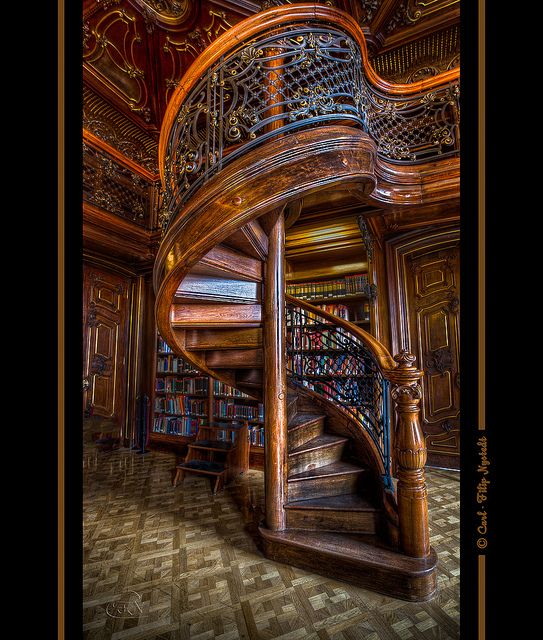 The beatiful stairs is from Fővárosi Szabó Ervin Könyvtár (literally Metropolitan Ervin Szabó Library) This house in Budapest, Hungary, was originally built in 1887 as a palace for the wealthy family Wenckheim. Picture by Carl Filip Nystedt