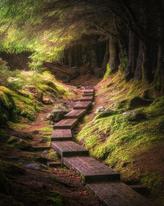 🌍Splendid Earth🌎 on Instagram: 🔹 ......................................................... 🔸Featured Artist: @fayedunmall 🔸Location: Ireland