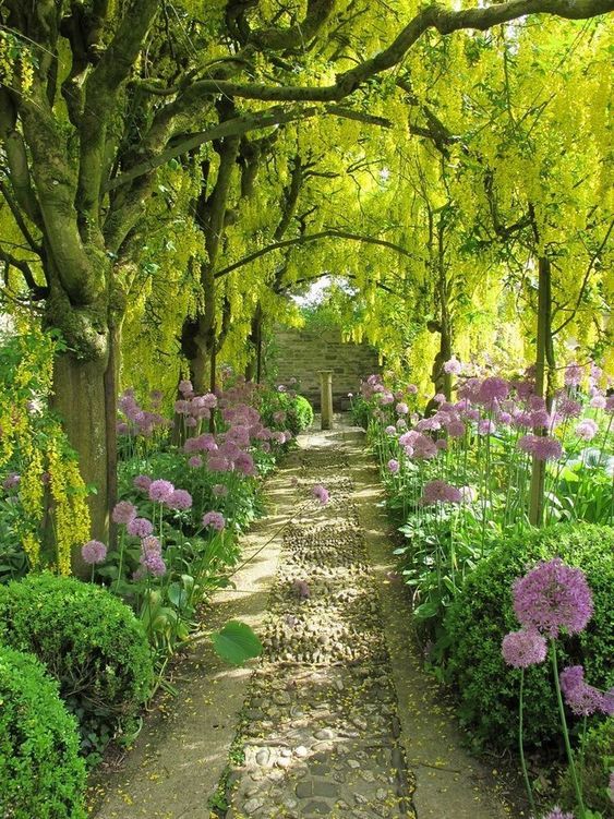 Gardening - Better Homes and Gardens