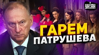 Тайный гарем Патрушева. Медведев свихнулся! Дружки Путина слетели с катушек