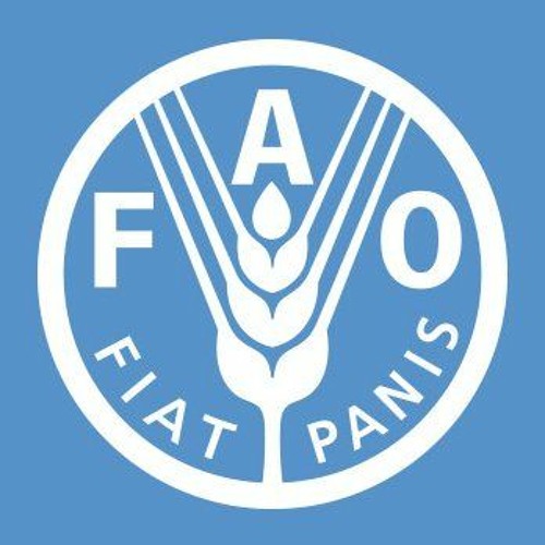 FAO’s avatar