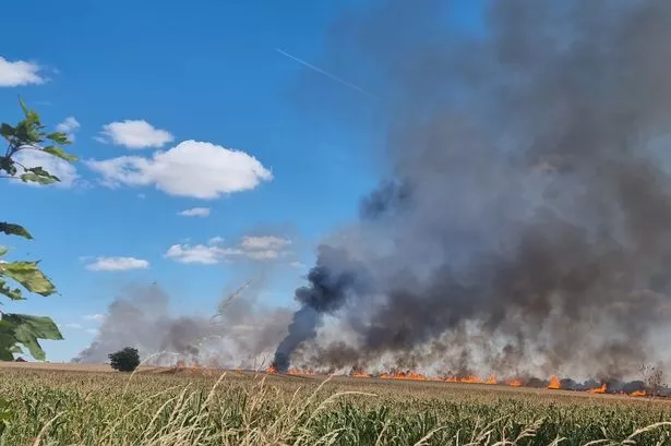 Smoke billowing from a fire in a field in Chipping Sodbury