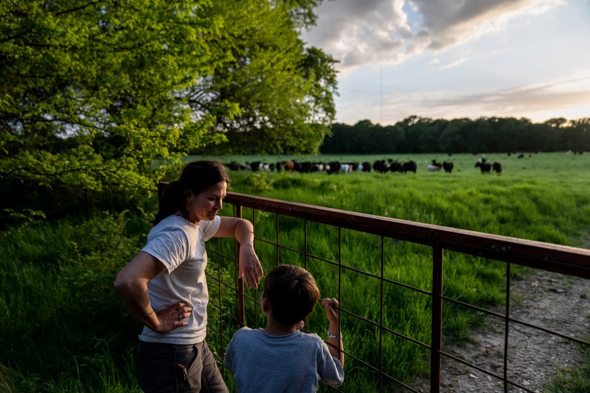 The Protein Problem: An AP series exploring the future of sustainable foods - cover