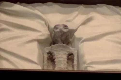 Was 'Unknown' DNA Found in Peru Mummies? What We Know