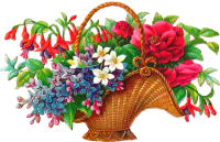 50-507321_antique-images-free-flower-basket-clip-art-2.png