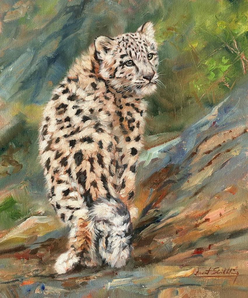 1-snow-leopard-cub-david-stribbling.jpg