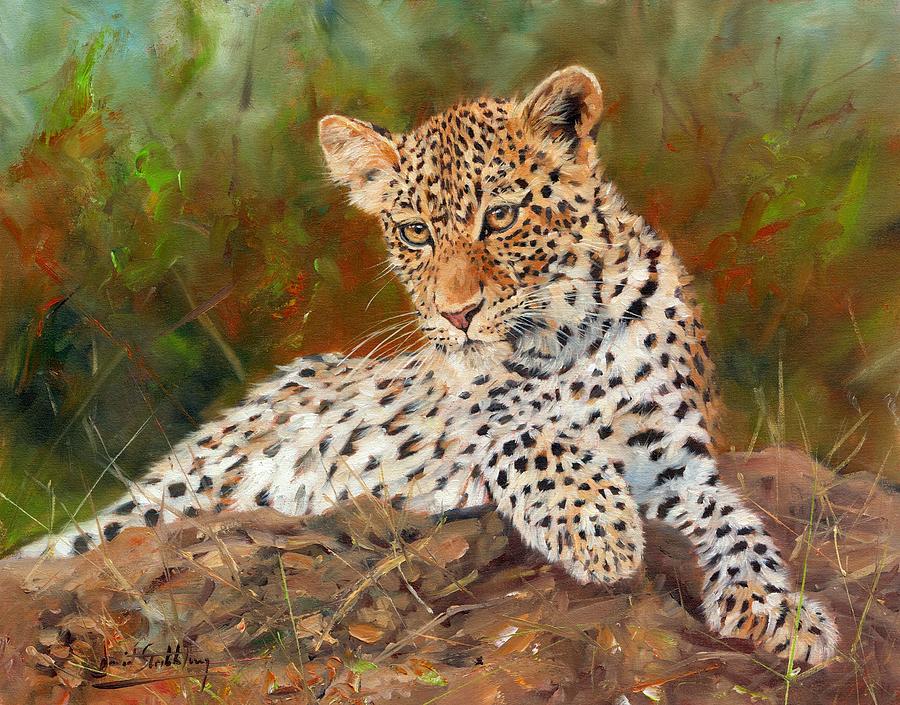 1-young-leopard-david-stribbling.jpg