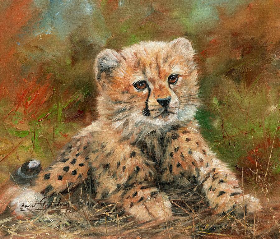 6-cheetah-cub-david-stribbling.jpg