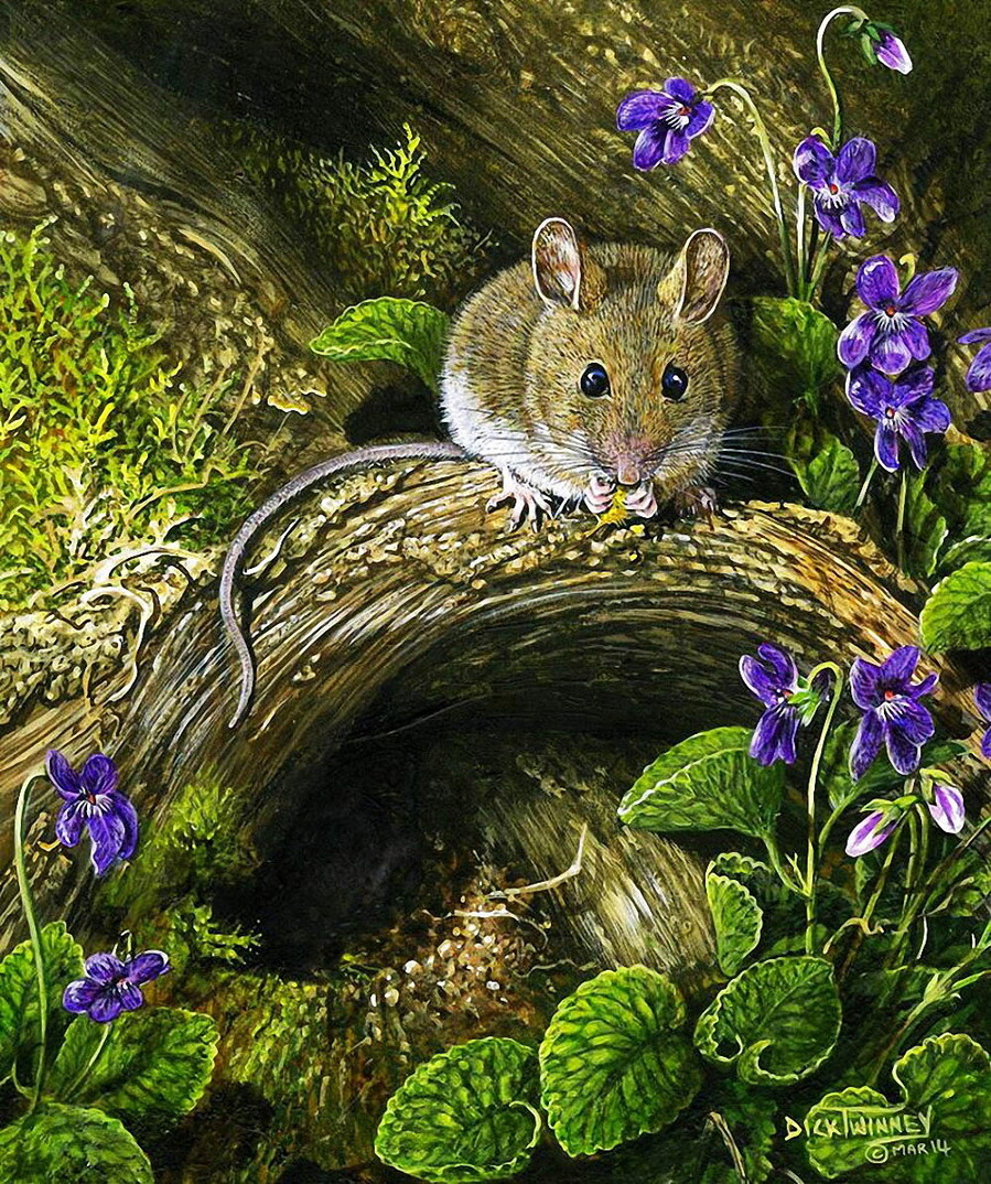 Woodmouse_amp_Violets_resized_yapfiles.ru.jpg