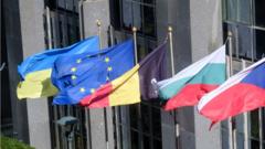 Флаги стран Европы и Украины в Брюсселе