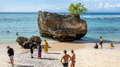 Millions of tourists are drawn to Bali's beaches and resorts each year