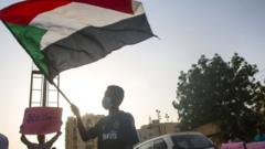 Man waves a Sudanese flag in Khartoum (file photo)