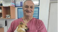 ветеринар и пас
