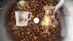 咖啡豆如何影响你的身体和人类历史？
