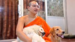 Tajlandski monah koji se brine o napuštenim kućnim ljubimcima