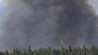 Black smoke rises from a forest as gusty winds fan wildfires in Colorado.