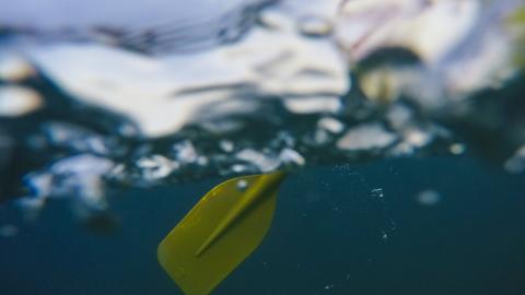 Paddle in water