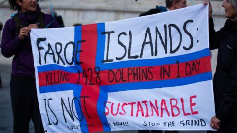People protest against dolphin cull
