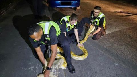 Snake rescued by police