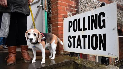A dog on a lead outside a polling station, taken in Brighton in 2019