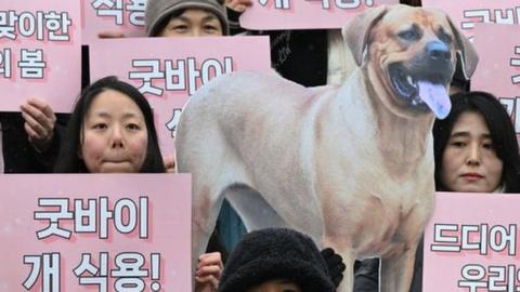 Protesters welcome ban on dog meat trade