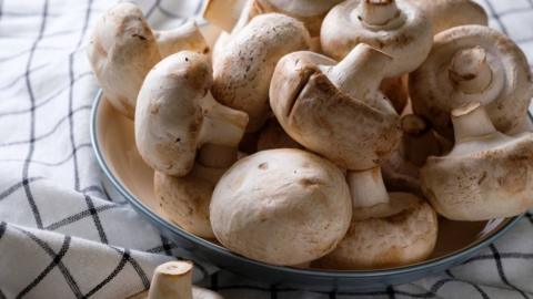 Mushrooms in a bowl