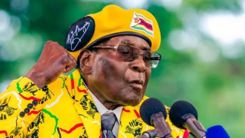 Robert Mugabe calls on Zanu-PF supporters in 2017 to back Grace Mugabe's bid to become the party's next vice-president.