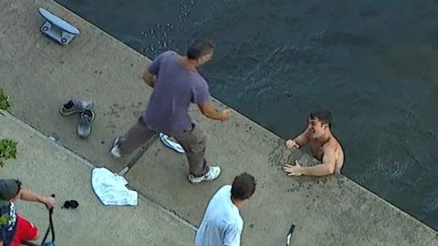 Fan jumps in to retrieve baseball