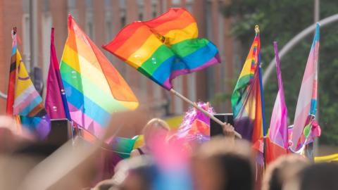 pride flags being waved