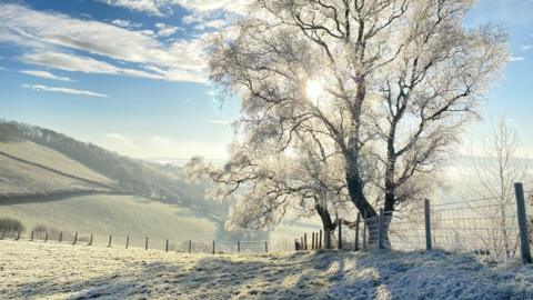 Frosty scene at Powys