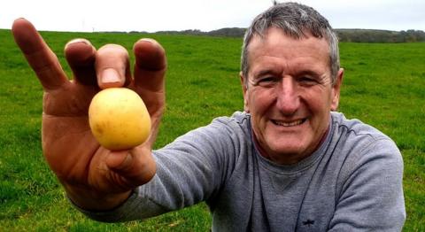 Potato farmer, Walter Simon