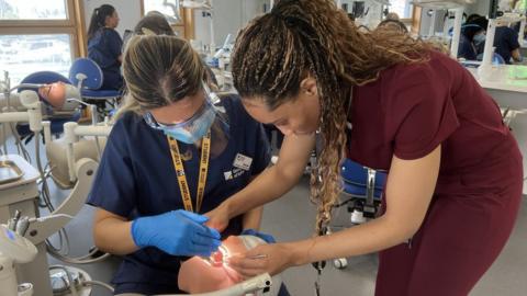 Students work on a dental dummy